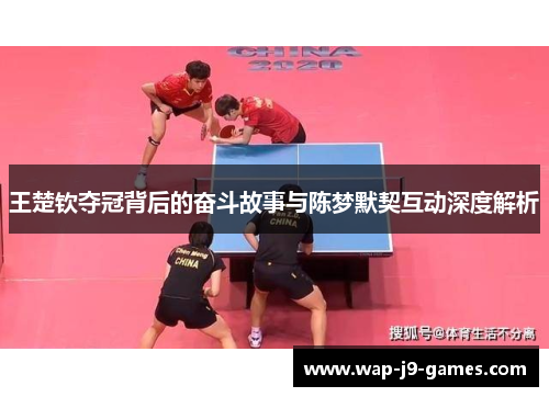 王楚钦夺冠背后的奋斗故事与陈梦默契互动深度解析