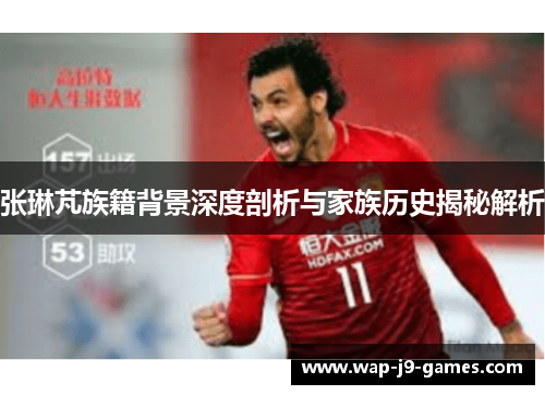 张琳芃族籍背景深度剖析与家族历史揭秘解析