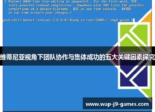 维蒂尼亚视角下团队协作与集体成功的五大关键因素探究